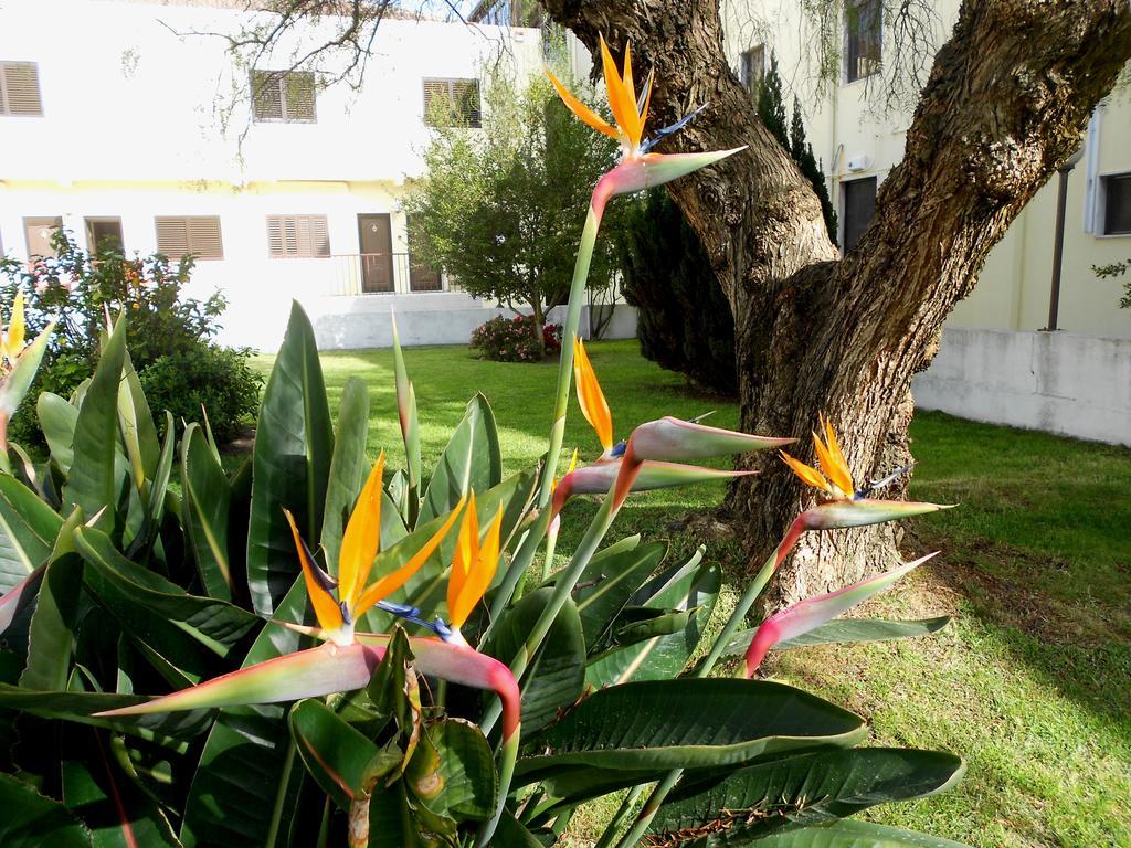 Quinta Valenciana Hotell Seixal  Exteriör bild